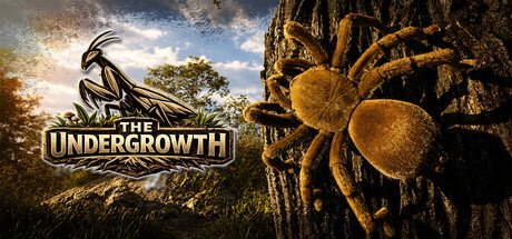 The Undergrowth key art